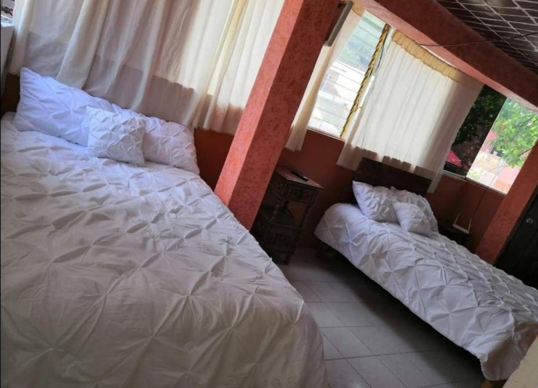 La Casa De Los Mangos Ajijic San Antonio Tlayacapan Luaran gambar
