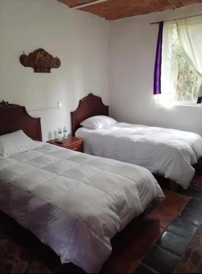 La Casa De Los Mangos Ajijic San Antonio Tlayacapan Luaran gambar