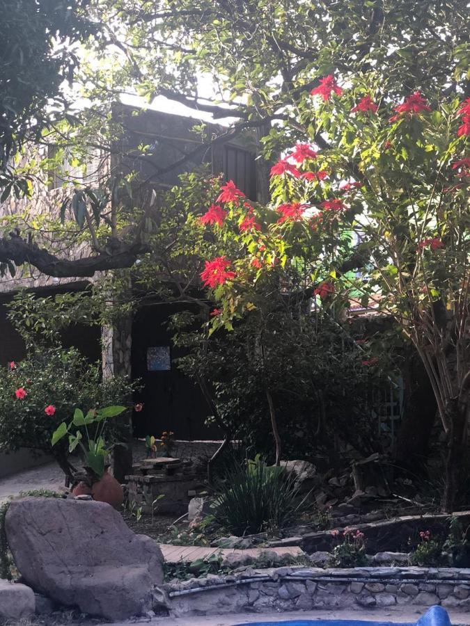 La Casa De Los Mangos Ajijic San Antonio Tlayacapan Luaran gambar